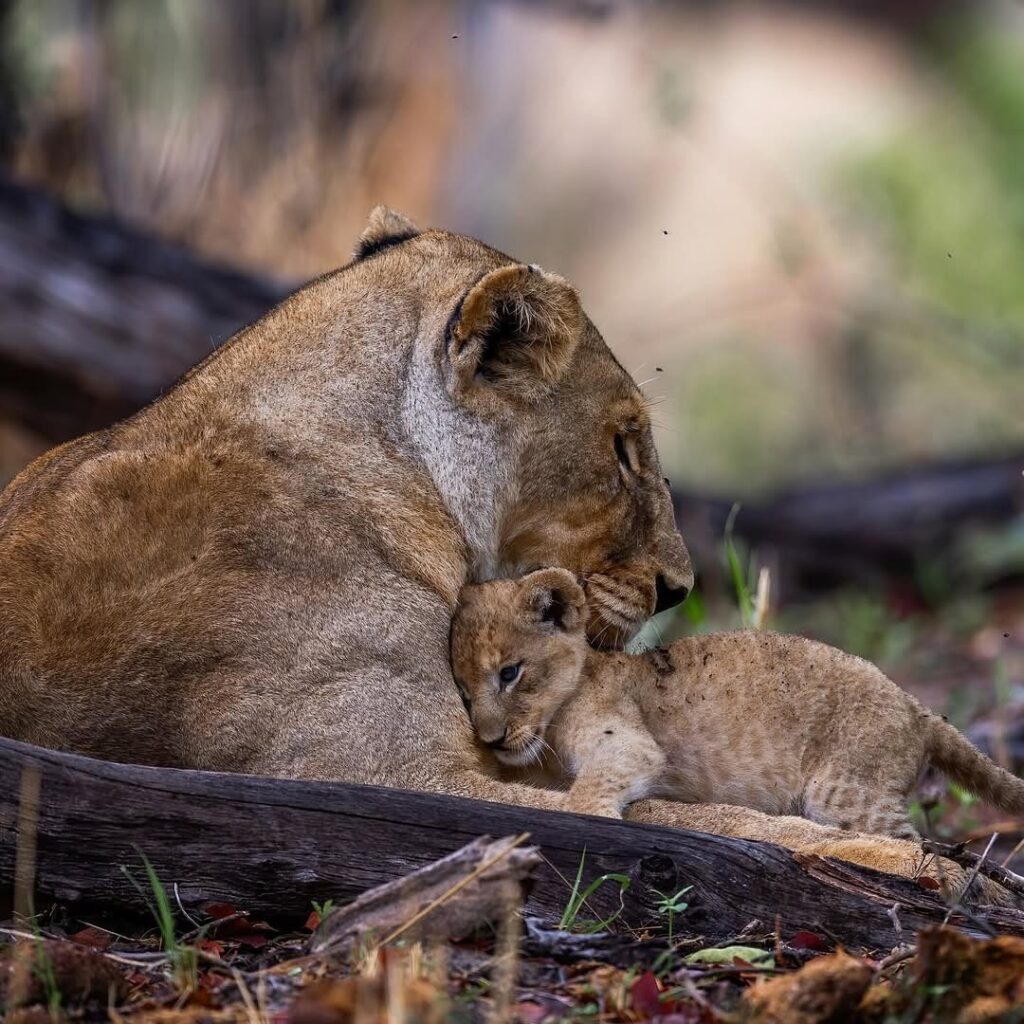 -5773620306202707537_121