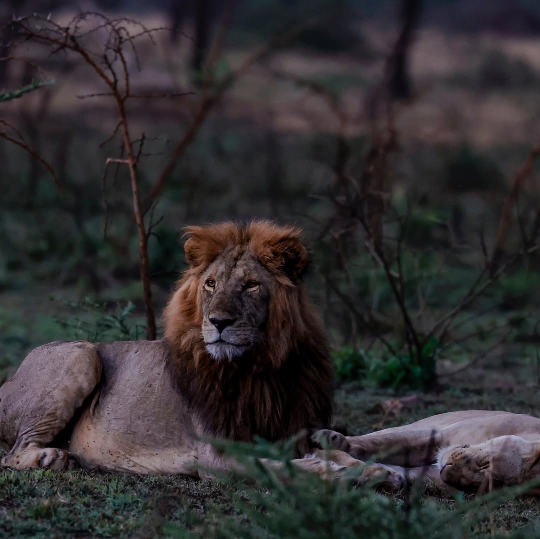 -5773620306202707577_121