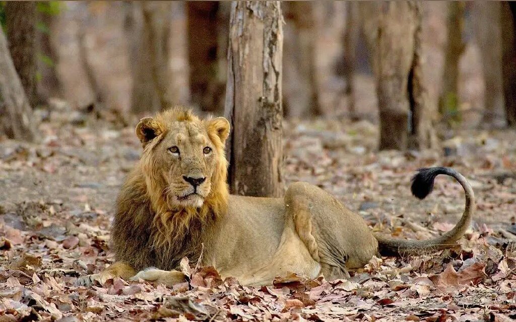 -5773620306202707646_121