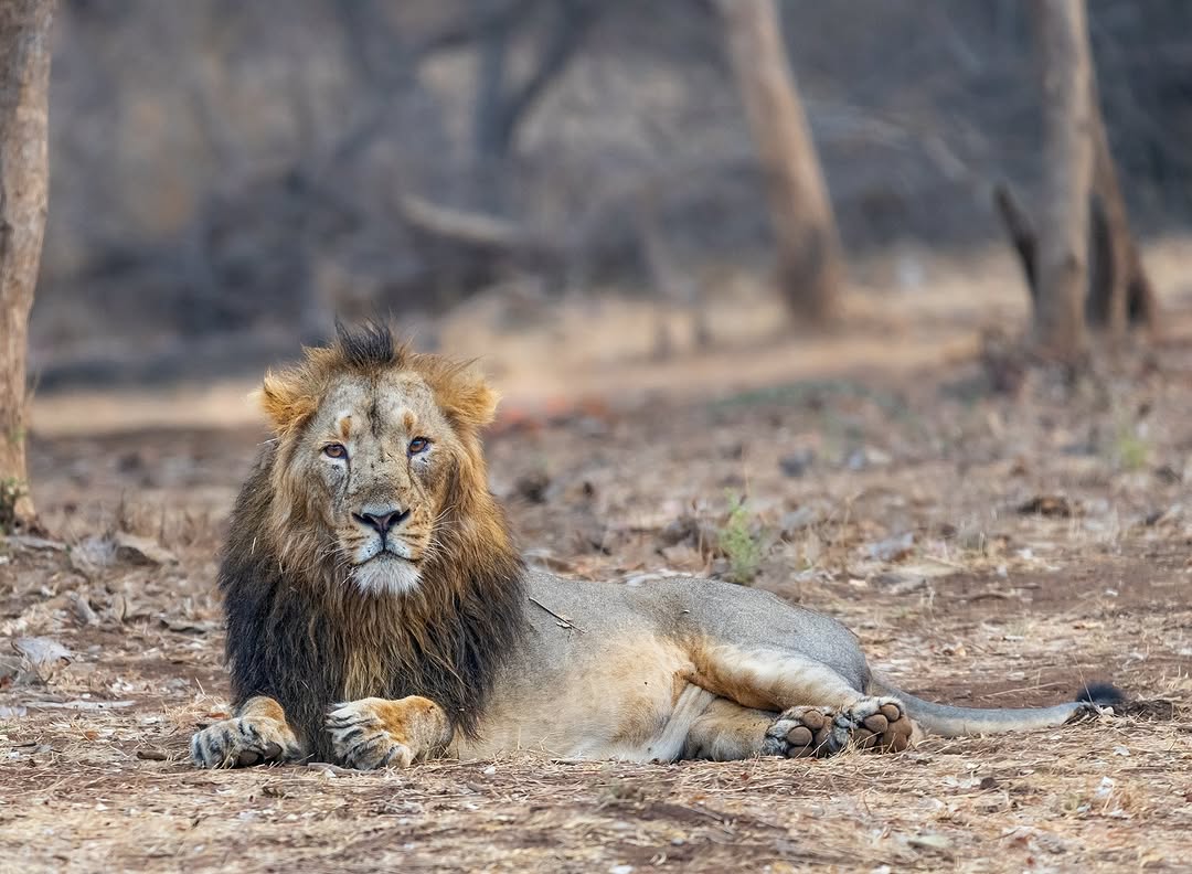 -5774945015850710490_121