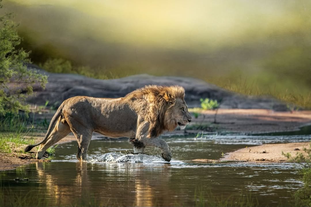 -5776175588405527215_121 copy