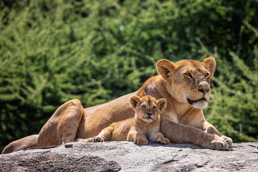 -5777076659659323007_121