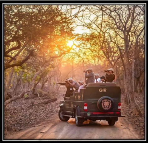 Screenshot 2025-01-24 074018