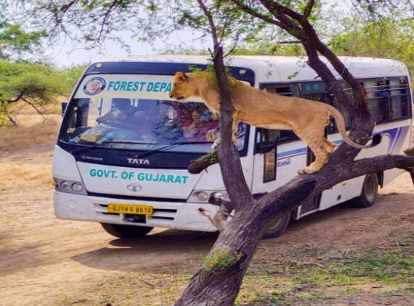 Screenshot 2025-01-24 075622